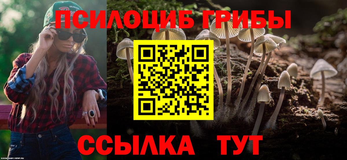 Галлюциногенные грибы ЛСД  Вход с VPN  Обь  Псилоцибиновые грибы Psilocybine cubensis 